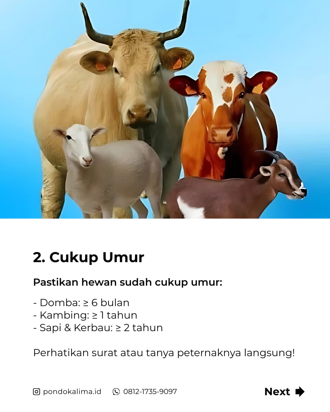 qurban2