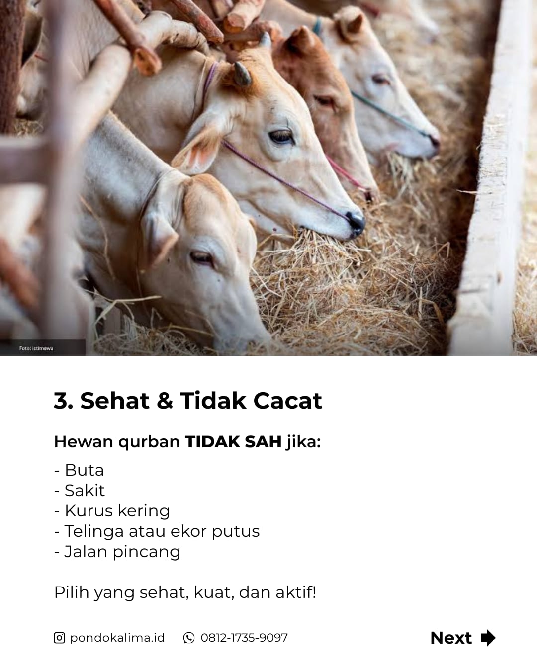 qurban3